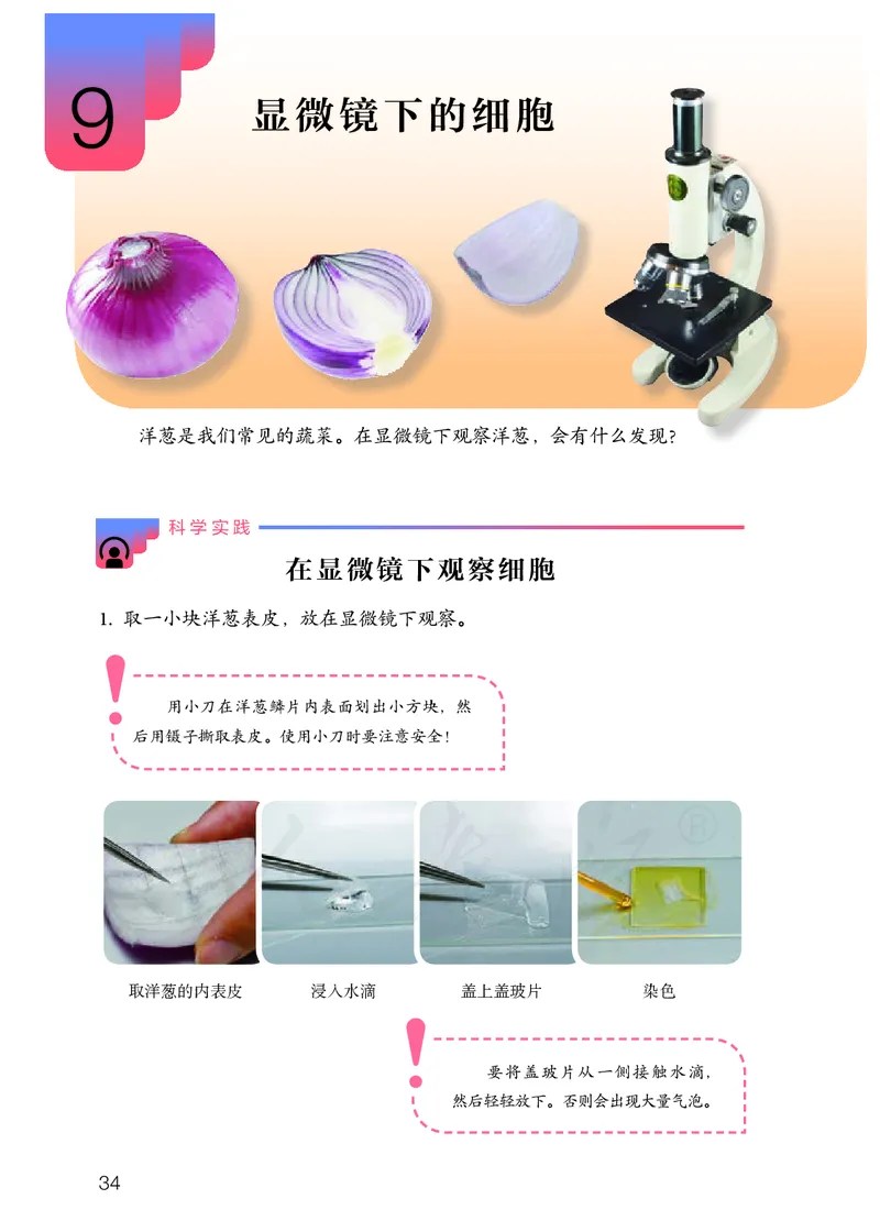 义务教育教科书&middot;科学五年级上册_电子课本_小学电子课本_05科学_人教鄂教版