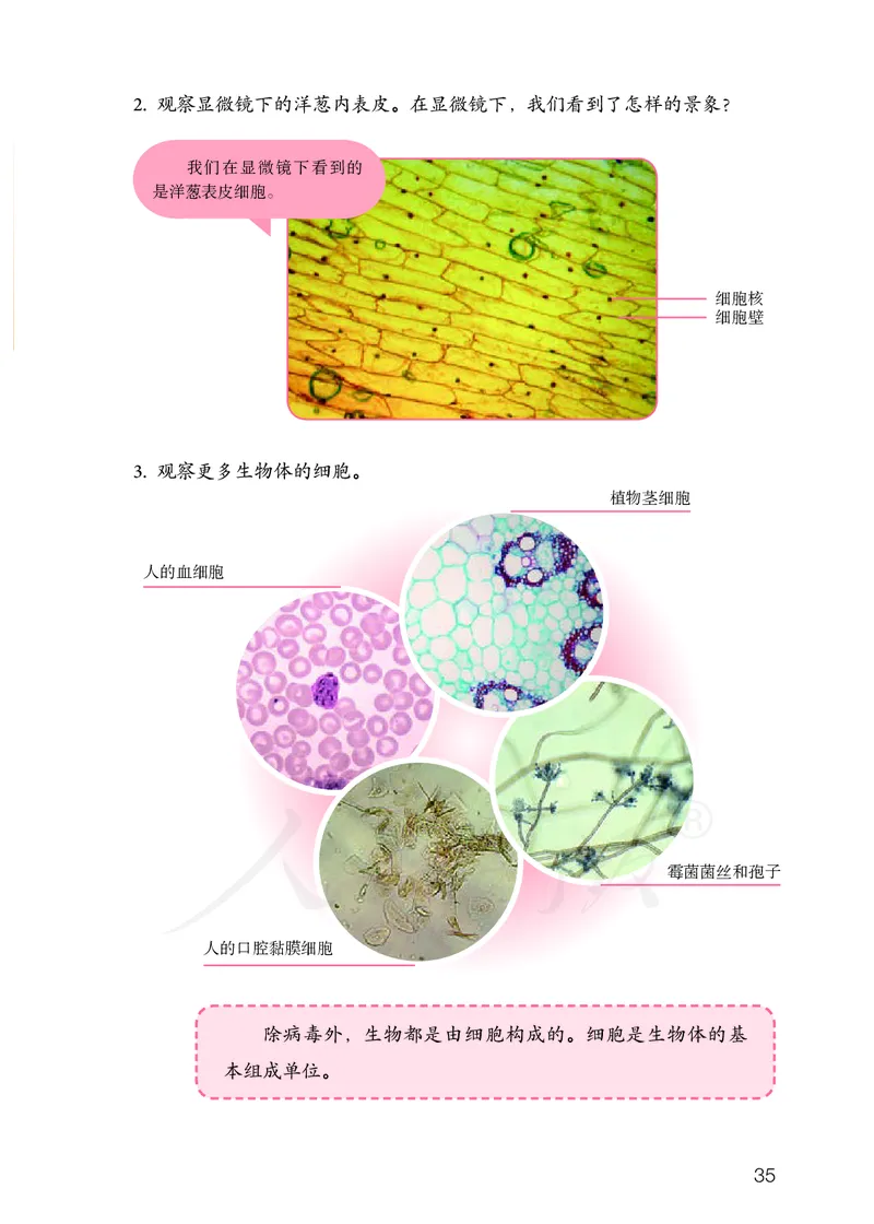 义务教育教科书&middot;科学五年级上册_电子课本_小学电子课本_05科学_人教鄂教版