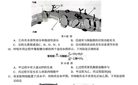 B类生物试题_2026年02月高一试卷_260208浙江省温州市2025-2026学年高一上学期期末（A卷+B卷）（全）_浙江省温州市2025-2026学年高一上学期期末试题B卷