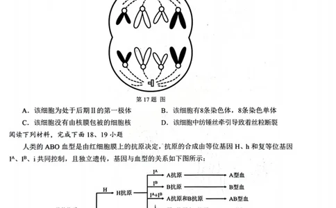 B类生物试题_2026年02月高一试卷_260208浙江省温州市2025-2026学年高一上学期期末（A卷+B卷）（全）_浙江省温州市2025-2026学年高一上学期期末试题B卷