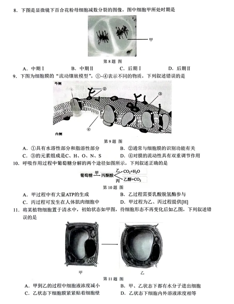 B类生物试题_2026年02月高一试卷_260208浙江省温州市2025-2026学年高一上学期期末（A卷+B卷）（全）_浙江省温州市2025-2026学年高一上学期期末试题B卷