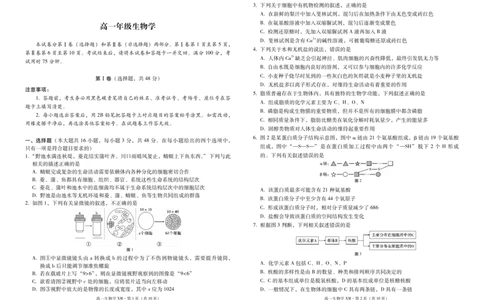 云南省西双版纳傣族自治州部分高中2024-2025学年高一上学期12月月考生物试题_2024年12月试卷_1225云南省西双版纳傣族自治州部分学校2024-2025学年高一上学期12月月考试题