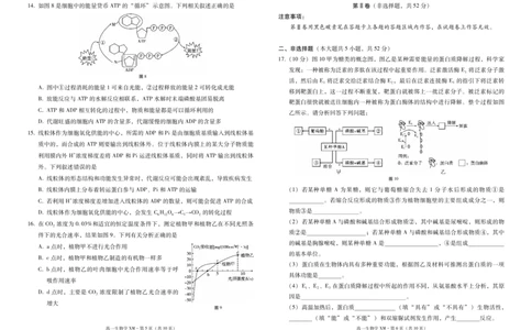 云南省西双版纳傣族自治州部分高中2024-2025学年高一上学期12月月考生物试题_2024年12月试卷_1225云南省西双版纳傣族自治州部分学校2024-2025学年高一上学期12月月考试题