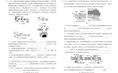 云南省西双版纳傣族自治州部分高中2024-2025学年高一上学期12月月考生物试题_2024年12月试卷_1225云南省西双版纳傣族自治州部分学校2024-2025学年高一上学期12月月考试题
