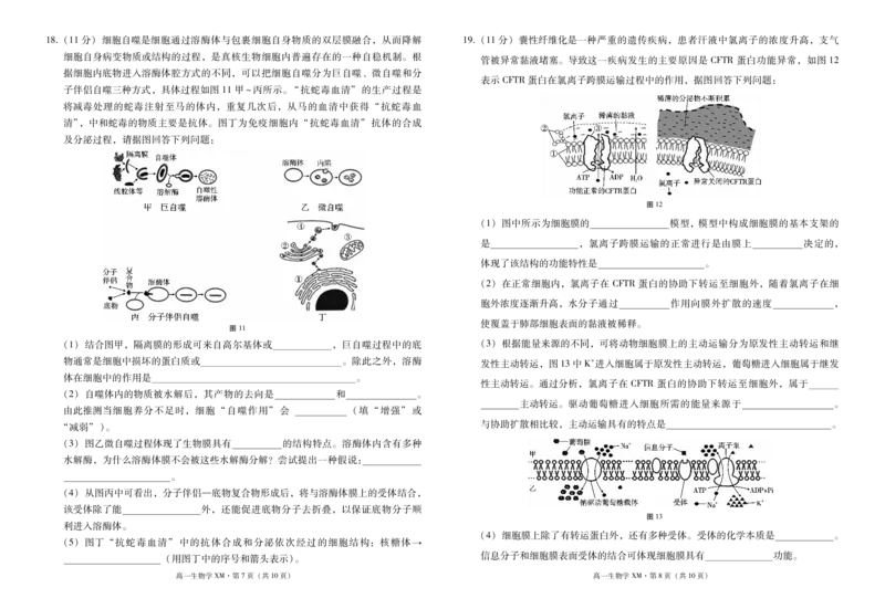 云南省西双版纳傣族自治州部分高中2024-2025学年高一上学期12月月考生物试题_2024年12月试卷_1225云南省西双版纳傣族自治州部分学校2024-2025学年高一上学期12月月考试题