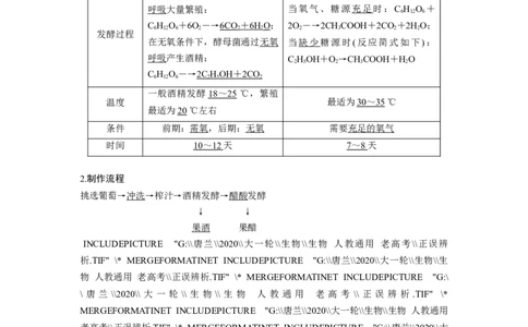 选择性必修三讲义_8.❤北京人大附中内部资料_6.人大附中高中生物讲义合集（全）