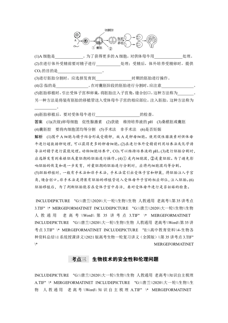 选择性必修三讲义_8.❤北京人大附中内部资料_6.人大附中高中生物讲义合集（全）