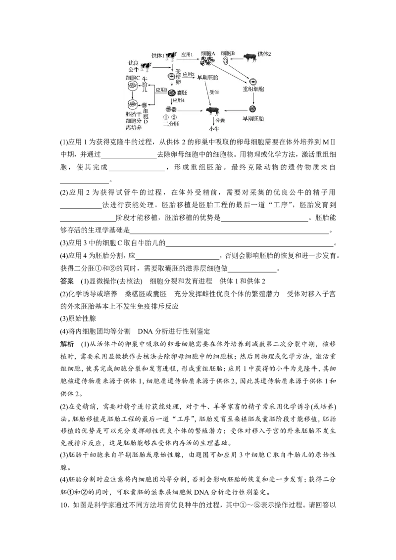选择性必修三讲义_8.❤北京人大附中内部资料_6.人大附中高中生物讲义合集（全）