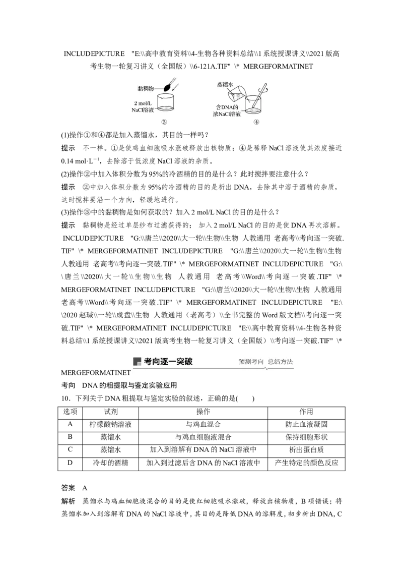 选择性必修三讲义_8.❤北京人大附中内部资料_6.人大附中高中生物讲义合集（全）