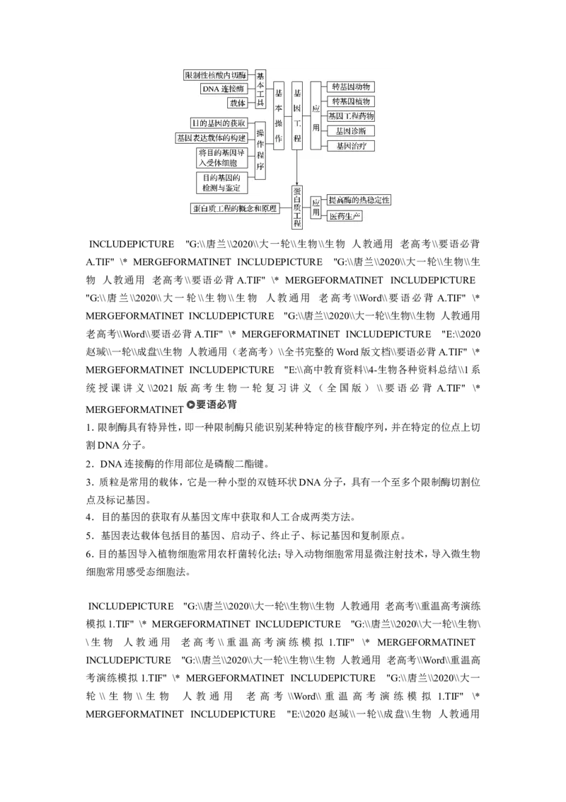 选择性必修三讲义_8.❤北京人大附中内部资料_6.人大附中高中生物讲义合集（全）