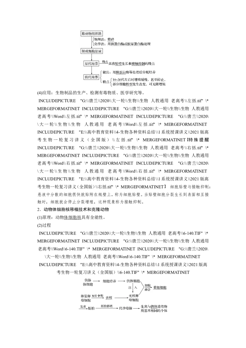 选择性必修三讲义_8.❤北京人大附中内部资料_6.人大附中高中生物讲义合集（全）