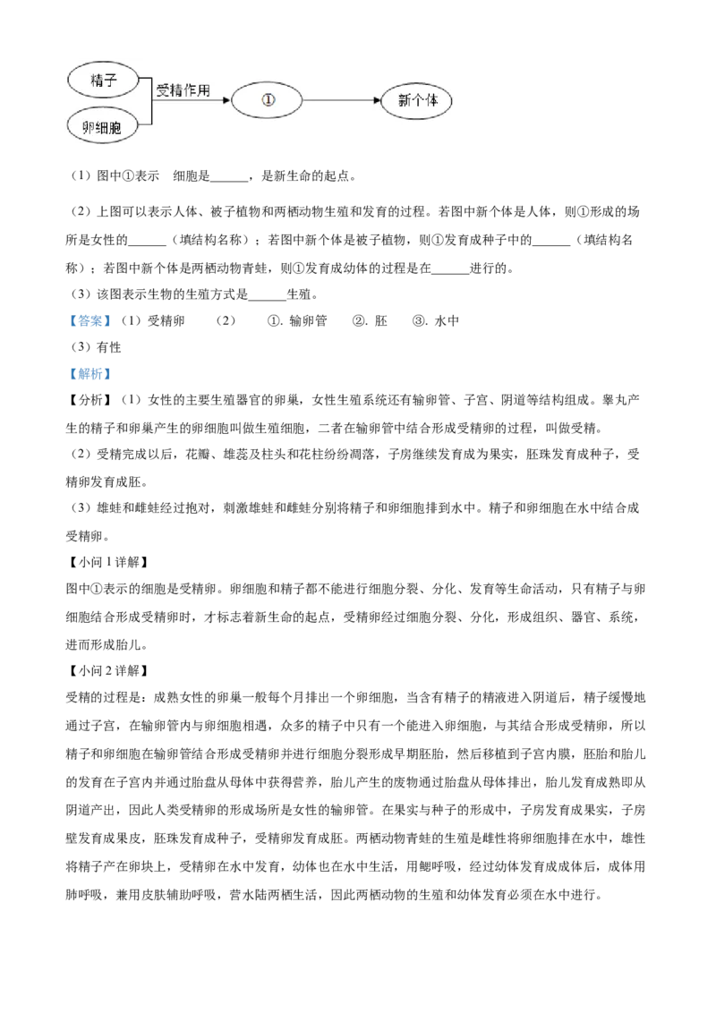 2022年陕西省中考生物真题（解析卷）_陕西_6.陕西中考生物（2016-2025）