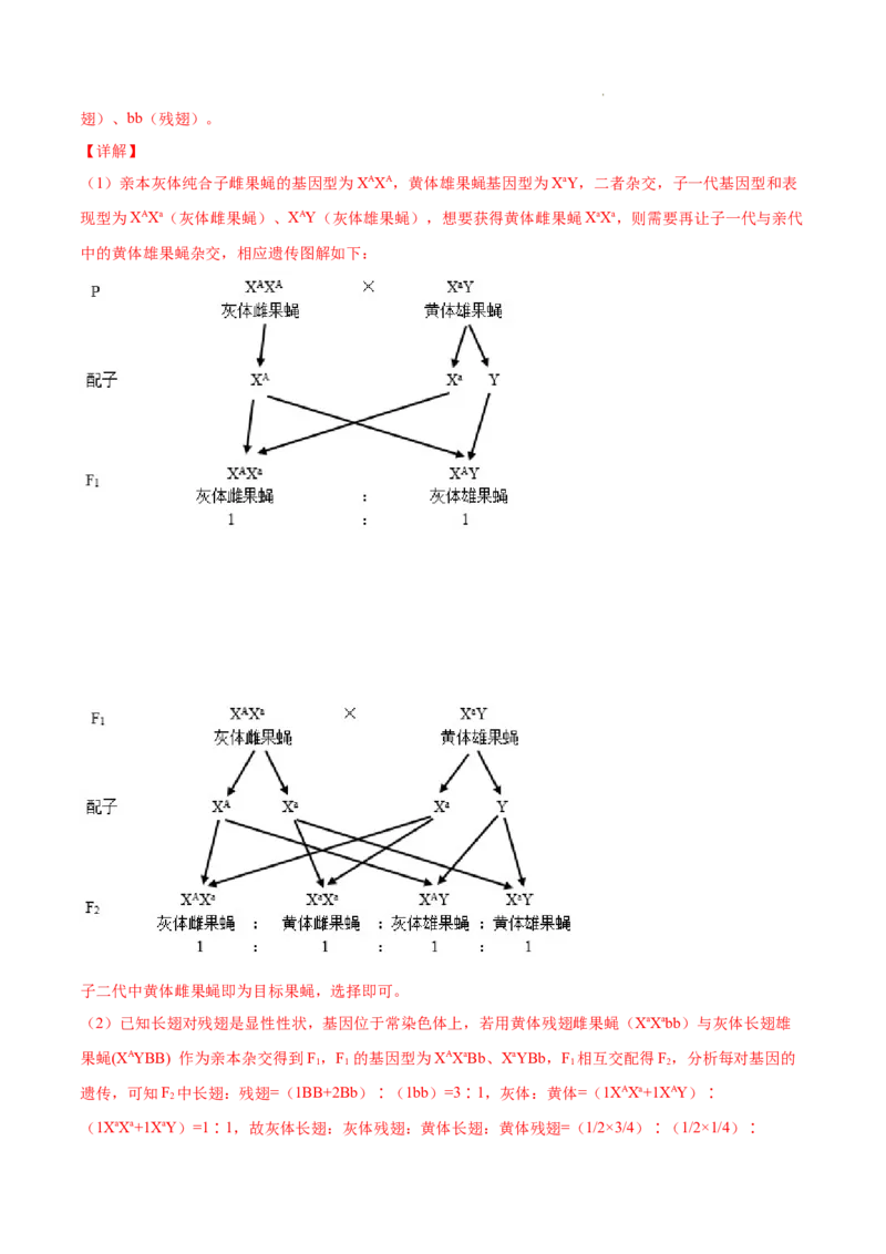 专题07伴性遗传和人类遗传病-三年（2020-2022）高考真题生物分项汇编（全国通用）（解析版）_高考真题分类汇编(2012-2022)生物_高考真题分项汇编(2020-2022)生物