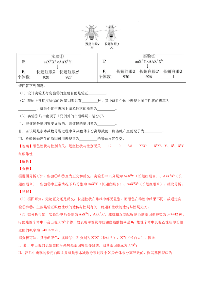 专题07伴性遗传和人类遗传病-三年（2020-2022）高考真题生物分项汇编（全国通用）（解析版）_高考真题分类汇编(2012-2022)生物_高考真题分项汇编(2020-2022)生物