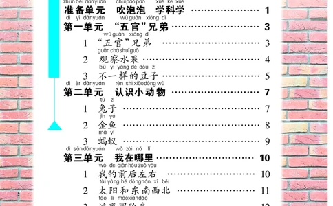 义务教育教科书&middot;科学&middot;学生活动手册一年级上册_电子课本_小学电子课本_05科学_大象版