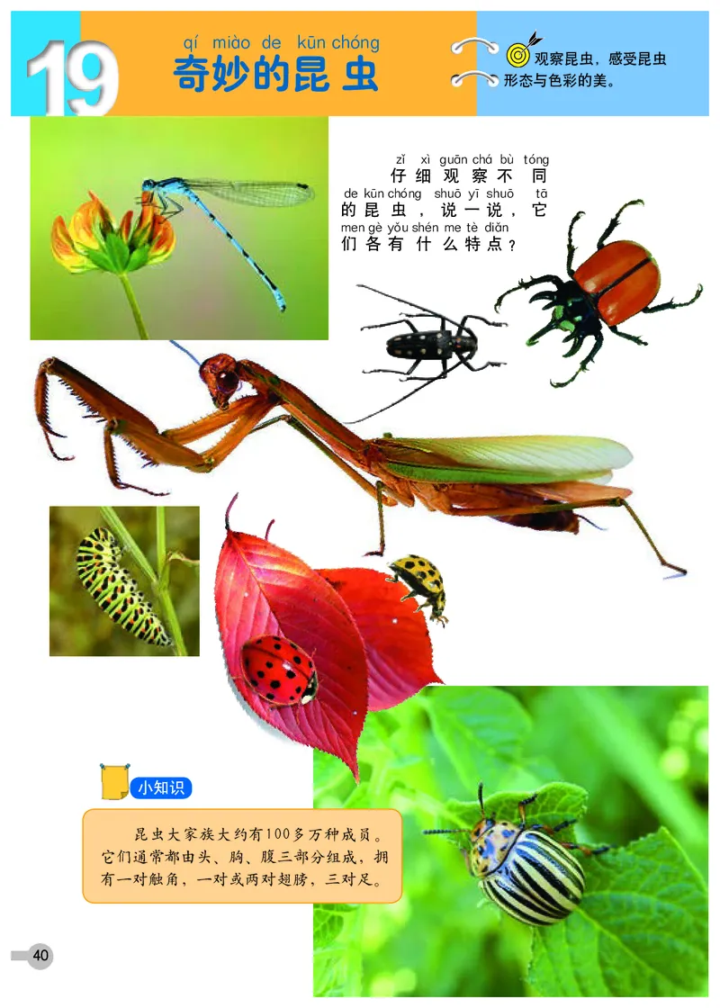 义务教育教科书&middot;美术一年级下册_电子课本_小学电子课本_07美术_浙人美版