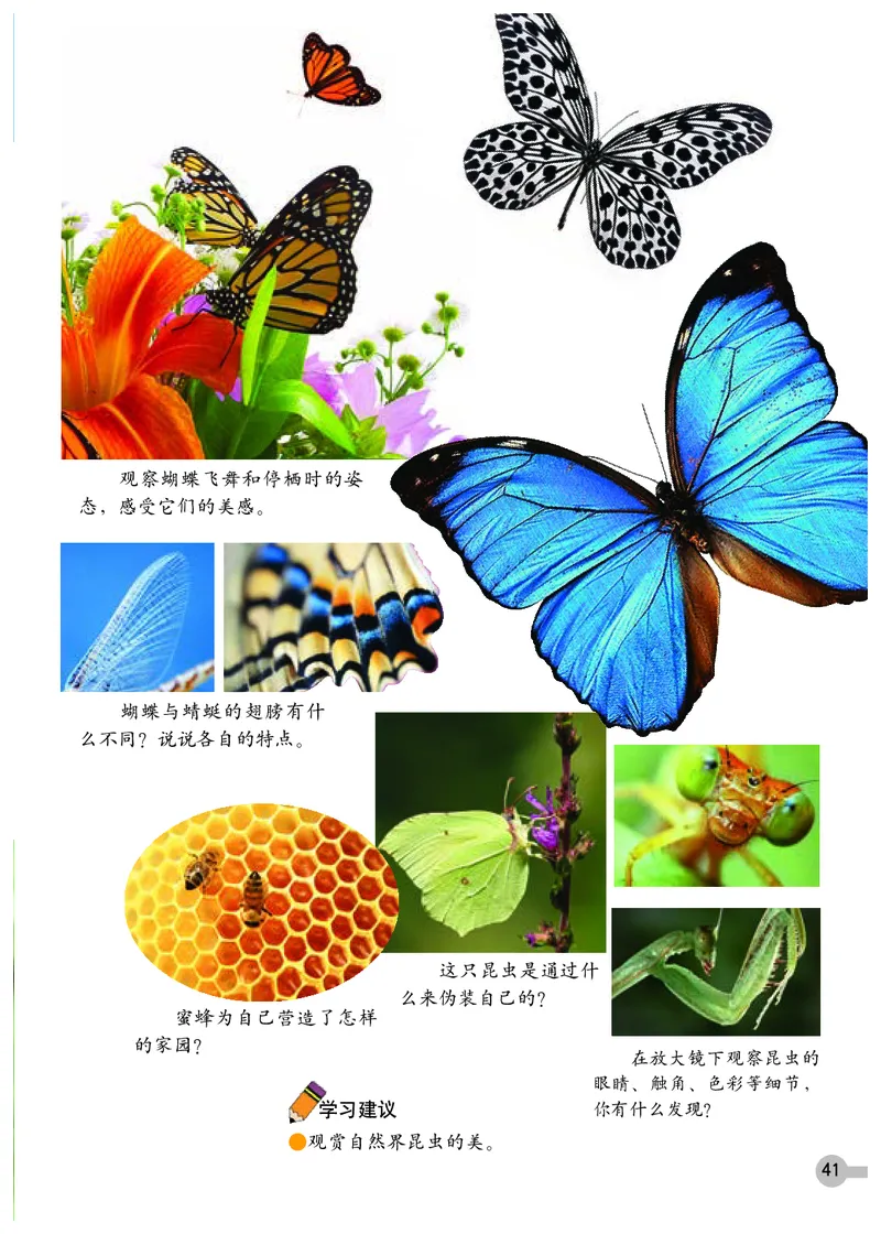 义务教育教科书&middot;美术一年级下册_电子课本_小学电子课本_07美术_浙人美版
