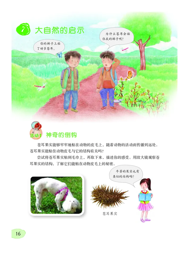 义务教育教科书&middot;科学六年级下册_电子课本_小学电子课本_05科学_粤教粤科版