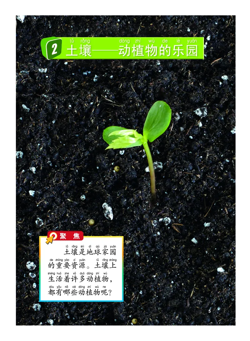 义务教育教科书&middot;科学二年级上册_电子课本_小学电子课本_05科学_教科版