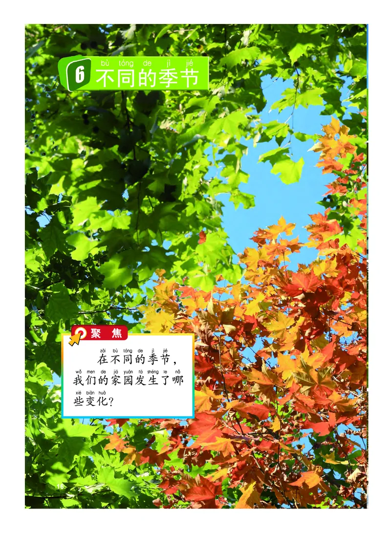 义务教育教科书&middot;科学二年级上册_电子课本_小学电子课本_05科学_教科版