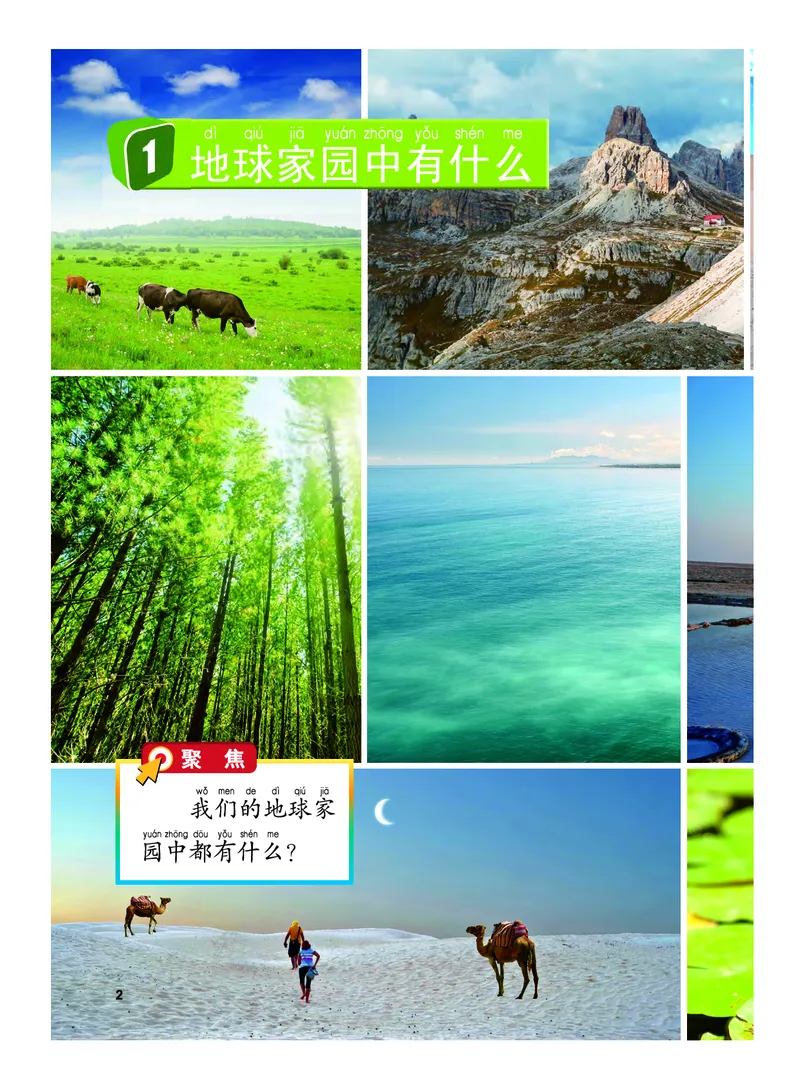 义务教育教科书&middot;科学二年级上册_电子课本_小学电子课本_05科学_教科版