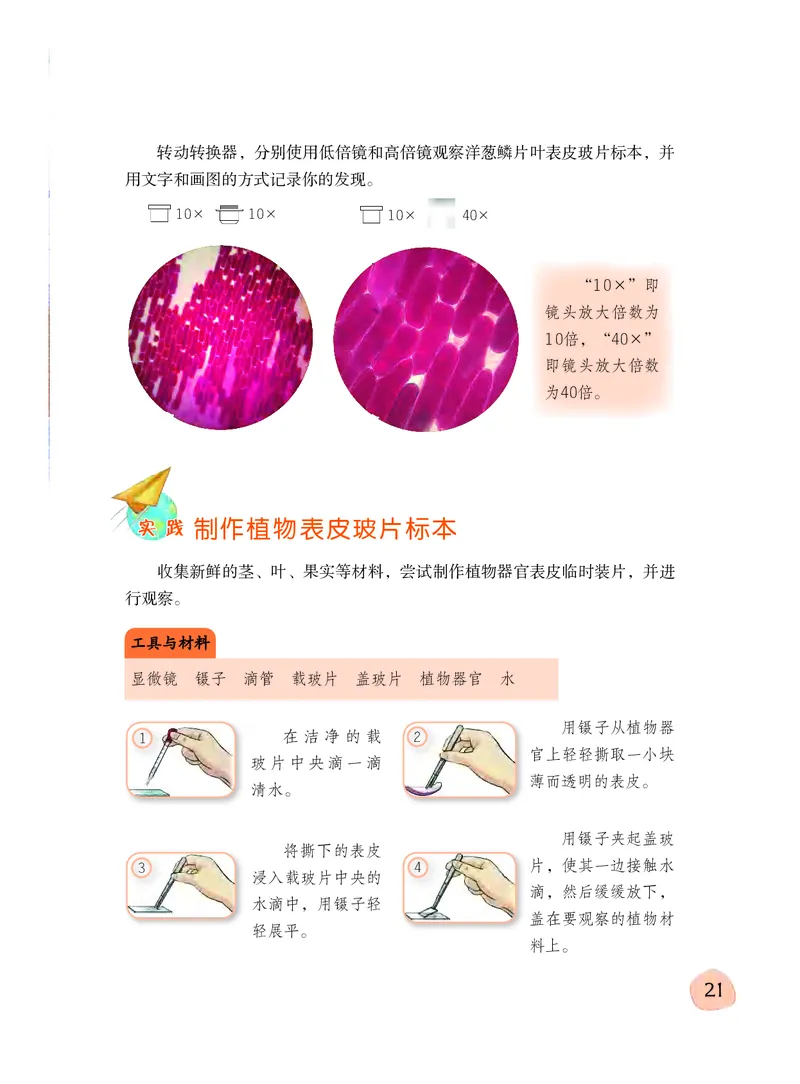 义务教育教科书&middot;科学五年级下册_电子课本_小学电子课本_05科学_粤教粤科版