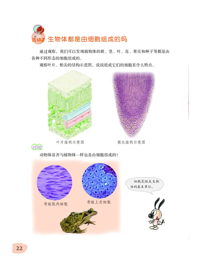 义务教育教科书&middot;科学五年级下册_电子课本_小学电子课本_05科学_粤教粤科版