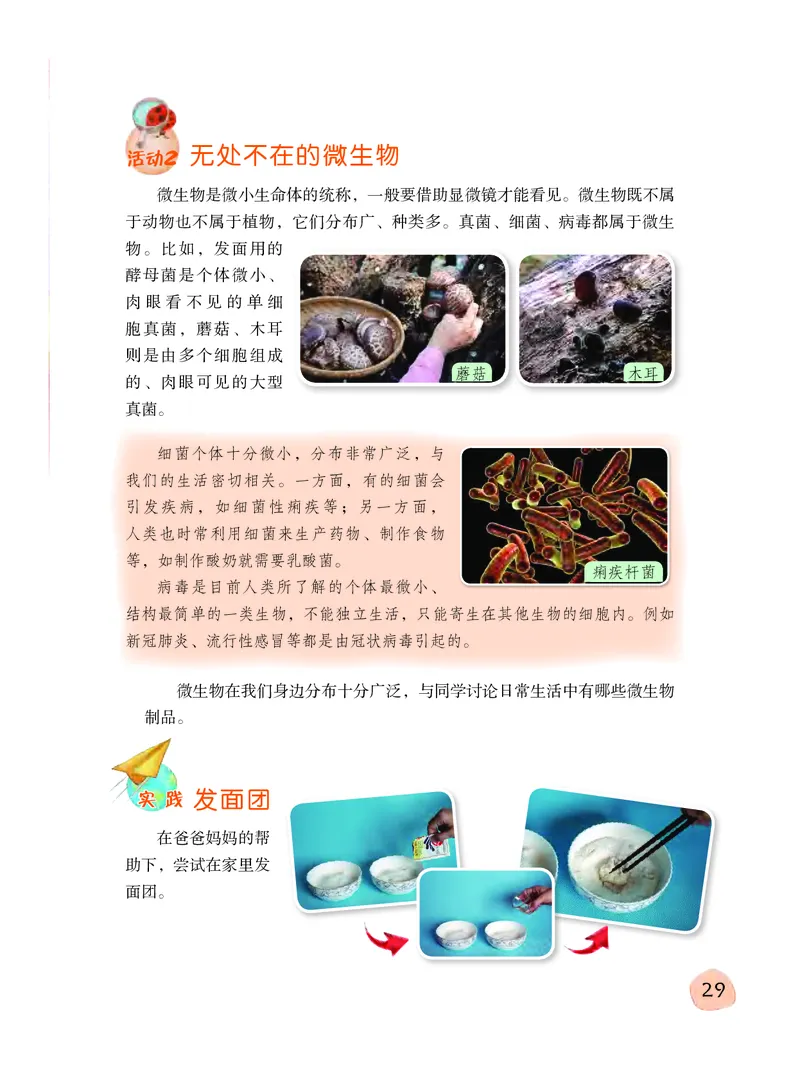 义务教育教科书&middot;科学五年级下册_电子课本_小学电子课本_05科学_粤教粤科版