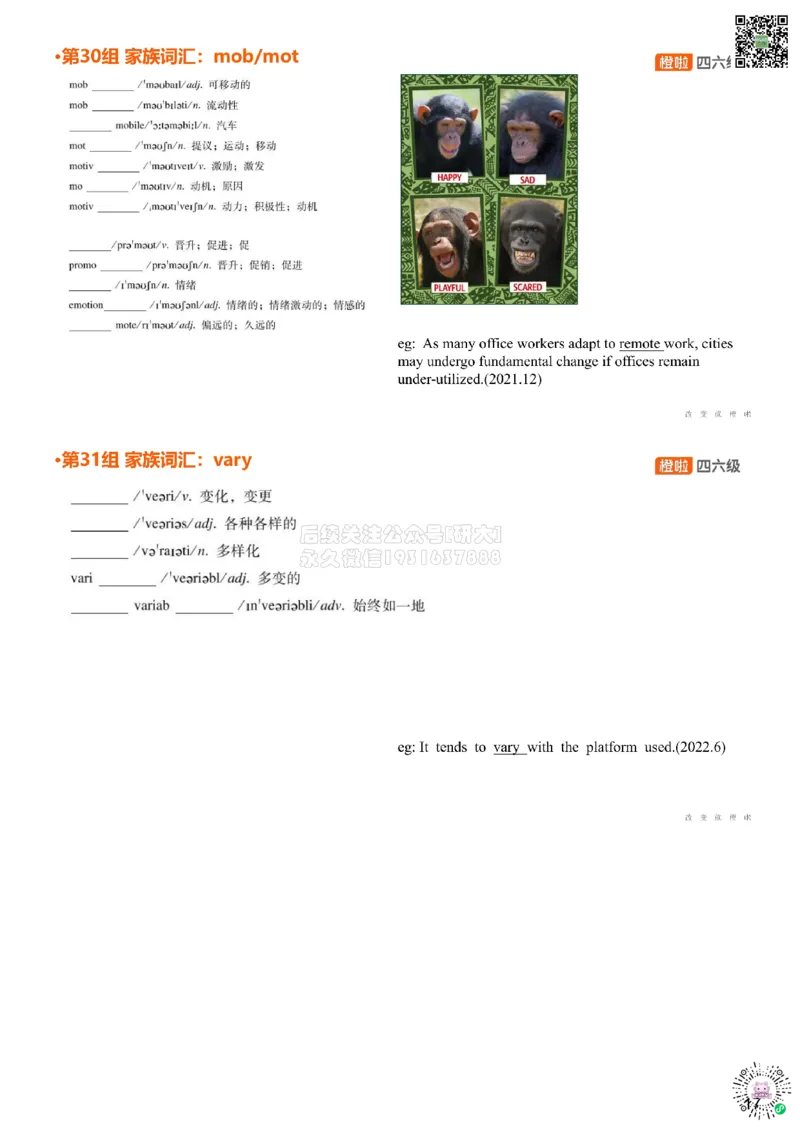[5.11]--家族词汇24-25maxmin、volv_2026年6月其他机构_05.2026四级英语26年06月_09.2026四级英语橙啦老师_00课件