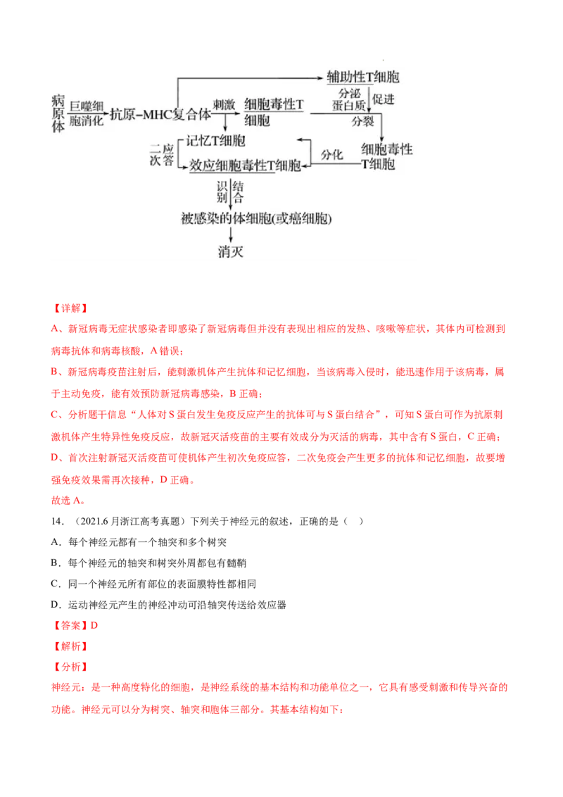 专题09动物生命活动的调节-三年（2020-2022）高考真题生物分项汇编（全国通用）（解析版）_高考真题分类汇编(2012-2022)生物_高考真题分项汇编(2020-2022)生物