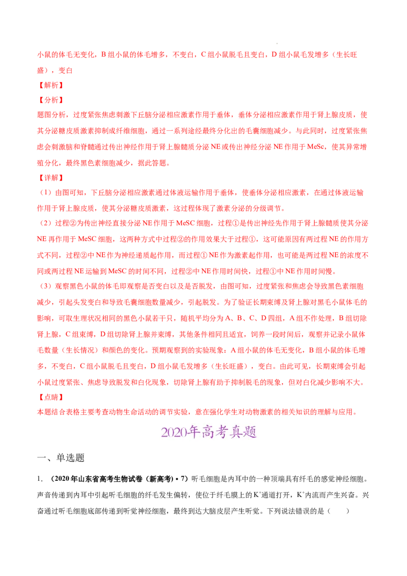 专题09动物生命活动的调节-三年（2020-2022）高考真题生物分项汇编（全国通用）（解析版）_高考真题分类汇编(2012-2022)生物_高考真题分项汇编(2020-2022)生物