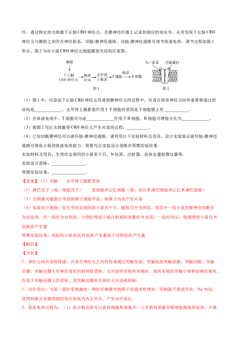 专题09动物生命活动的调节-三年（2020-2022）高考真题生物分项汇编（全国通用）（解析版）_高考真题分类汇编(2012-2022)生物_高考真题分项汇编(2020-2022)生物