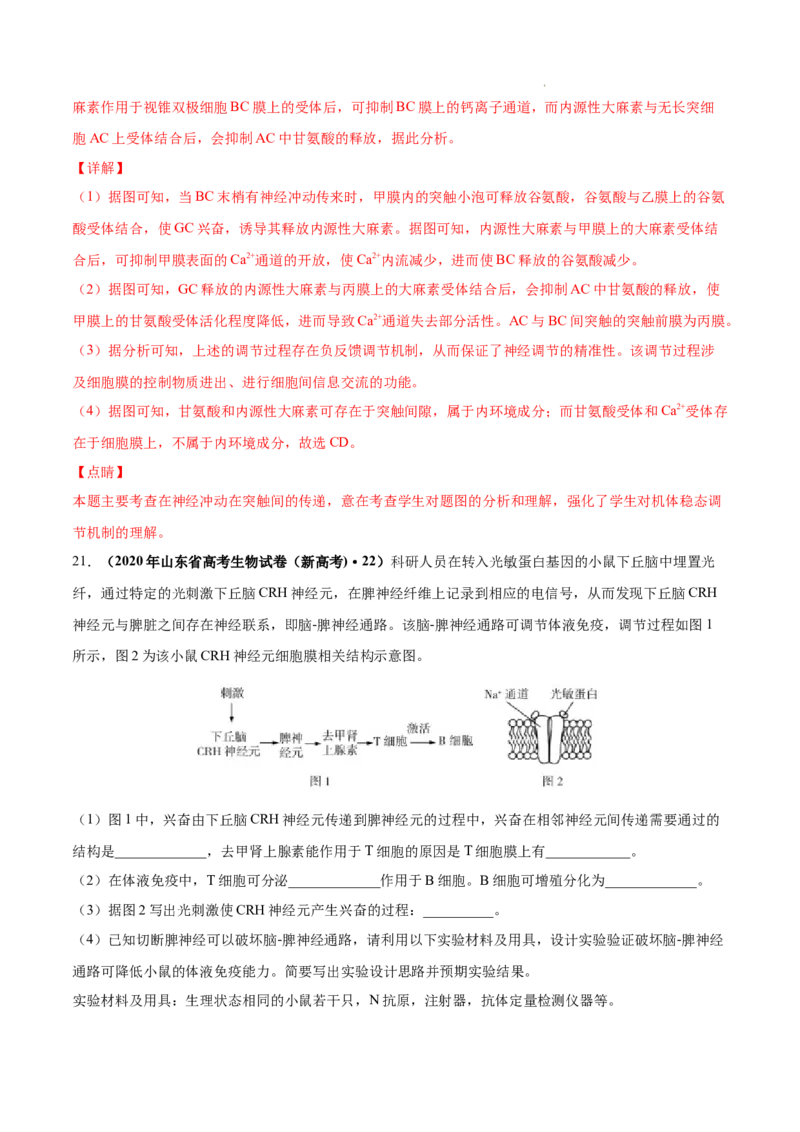 专题09动物生命活动的调节-三年（2020-2022）高考真题生物分项汇编（全国通用）（解析版）_高考真题分类汇编(2012-2022)生物_高考真题分项汇编(2020-2022)生物