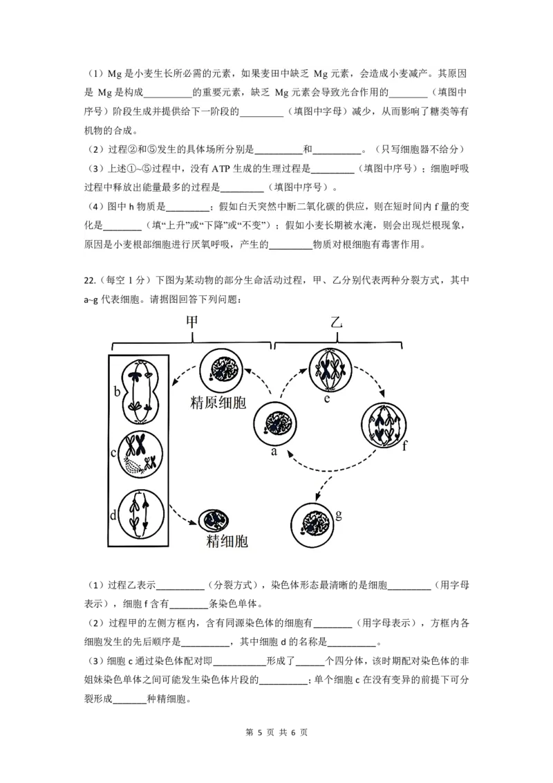 余姚中学2024学年第二学期期中考试高一生物学考试卷_2025年05月试卷_0501浙江省余姚中学2024-2025学年高一下学期期中考试