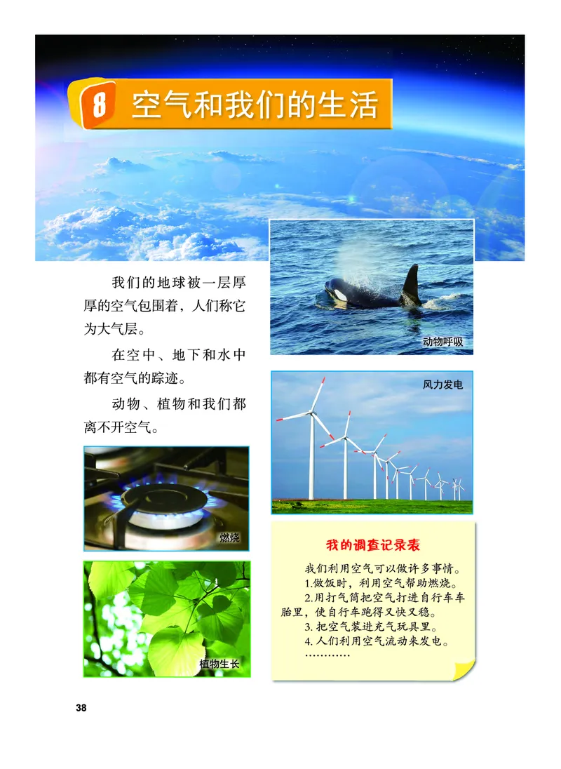 义务教育教科书&middot;科学三年级上册_电子课本_小学电子课本_05科学_教科版
