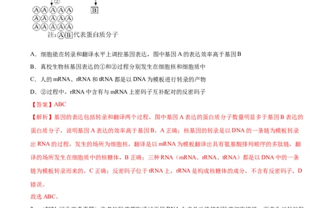 专题04遗传的分子基础-十年（2012-2021）高考生物真题分项汇编（全国通用）（解析版）_高考真题分类汇编(2012-2022)生物_高考真题分项汇编(2012-2021)生物