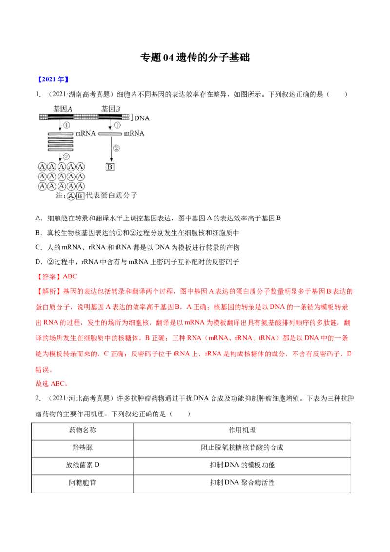 专题04遗传的分子基础-十年（2012-2021）高考生物真题分项汇编（全国通用）（解析版）_高考真题分类汇编(2012-2022)生物_高考真题分项汇编(2012-2021)生物