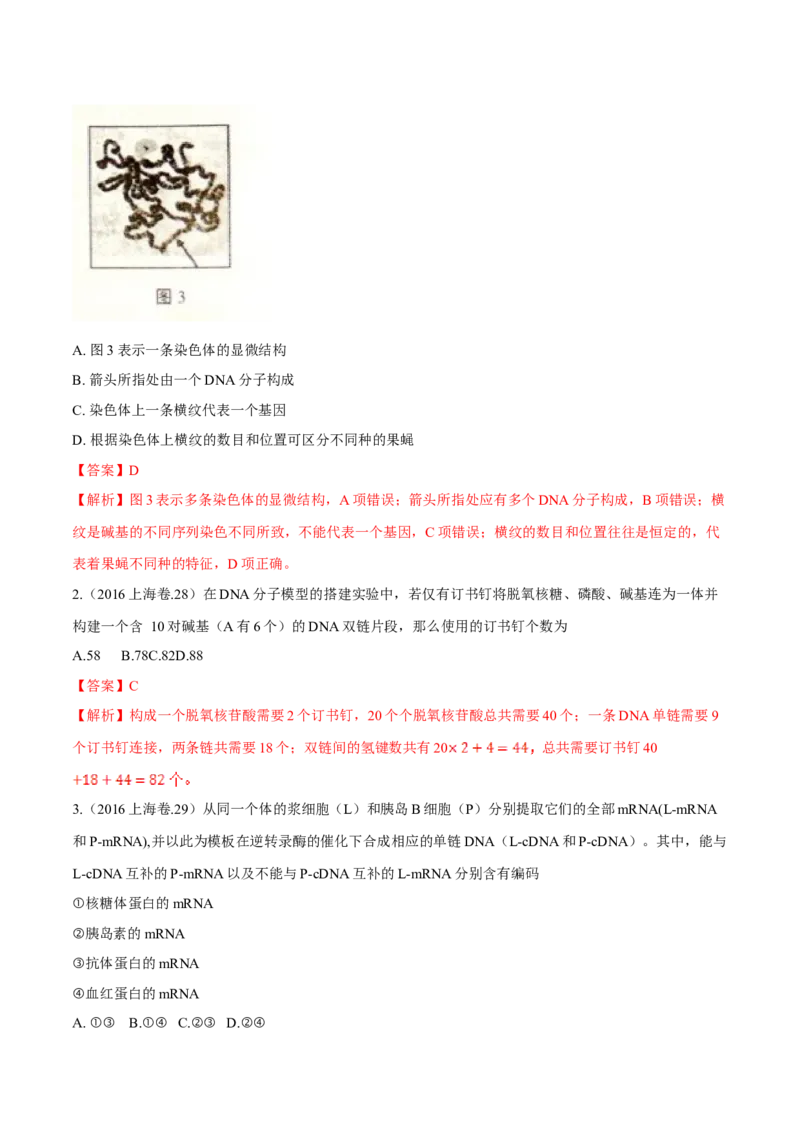 专题04遗传的分子基础-十年（2012-2021）高考生物真题分项汇编（全国通用）（解析版）_高考真题分类汇编(2012-2022)生物_高考真题分项汇编(2012-2021)生物