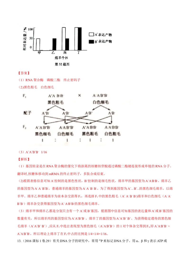 专题04遗传的分子基础-十年（2012-2021）高考生物真题分项汇编（全国通用）（解析版）_高考真题分类汇编(2012-2022)生物_高考真题分项汇编(2012-2021)生物