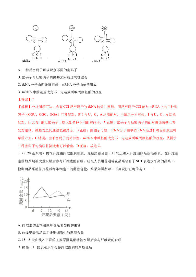 专题04遗传的分子基础-十年（2012-2021）高考生物真题分项汇编（全国通用）（解析版）_高考真题分类汇编(2012-2022)生物_高考真题分项汇编(2012-2021)生物