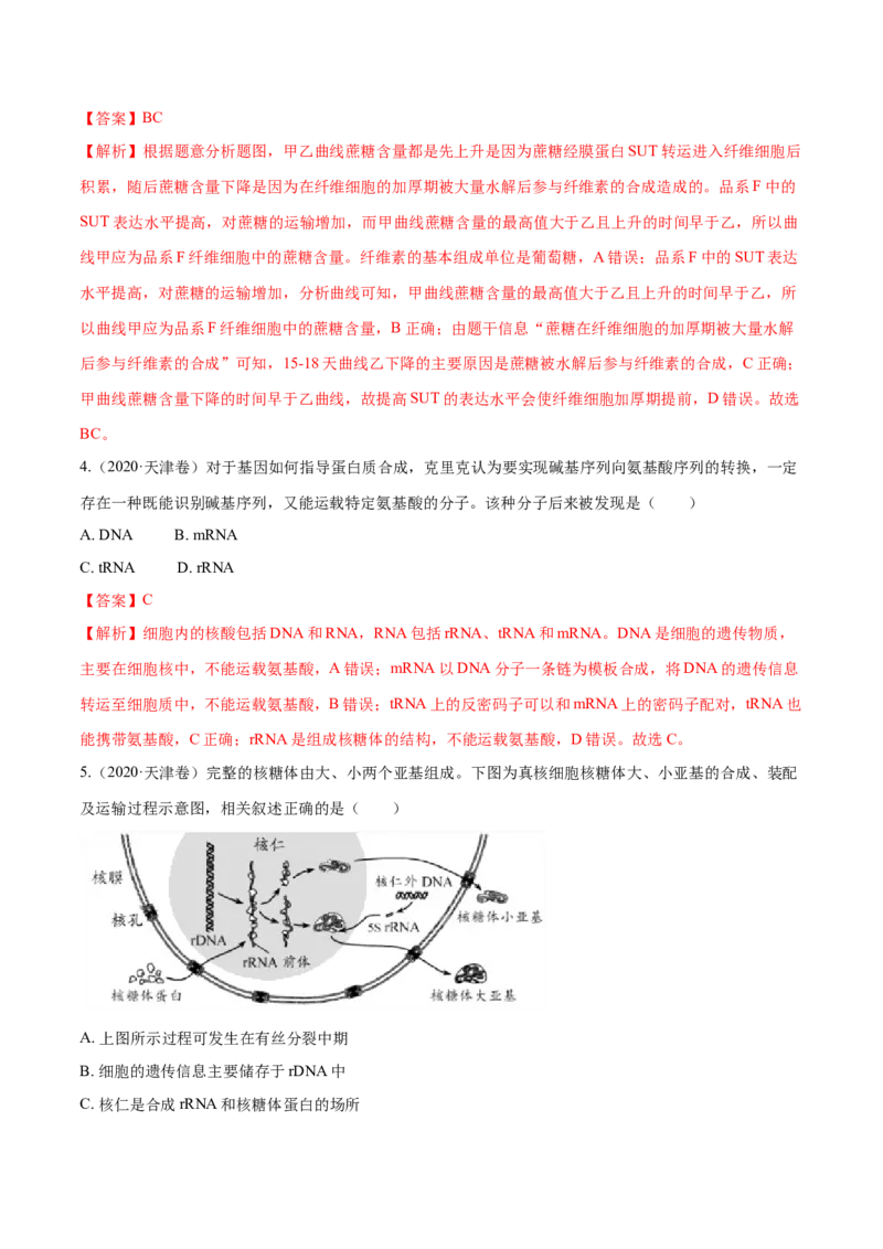 专题04遗传的分子基础-十年（2012-2021）高考生物真题分项汇编（全国通用）（解析版）_高考真题分类汇编(2012-2022)生物_高考真题分项汇编(2012-2021)生物