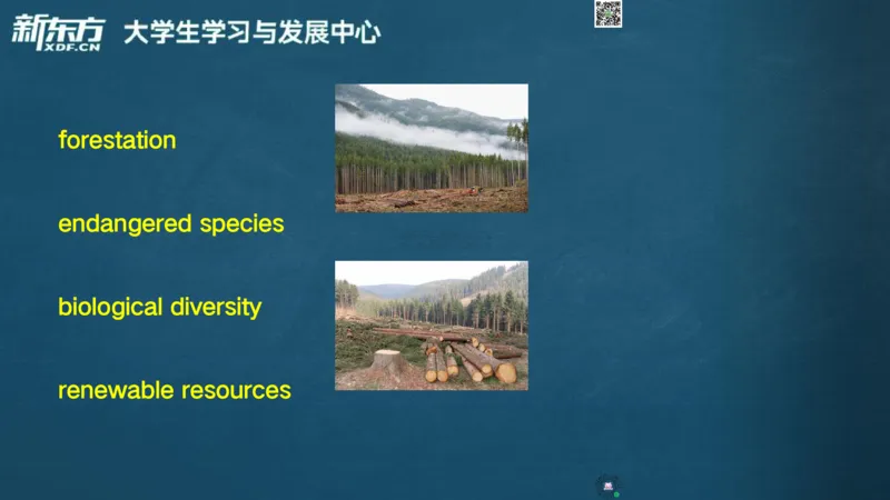 26_六级_词汇导学_陈志超_1772862605380_2026年6月其他机构_06.2026六级英语26年06月_08.2026六级英语新东方班+_03返学费六级春季直通车2026年06考季_01课件_六级核心技巧讲解