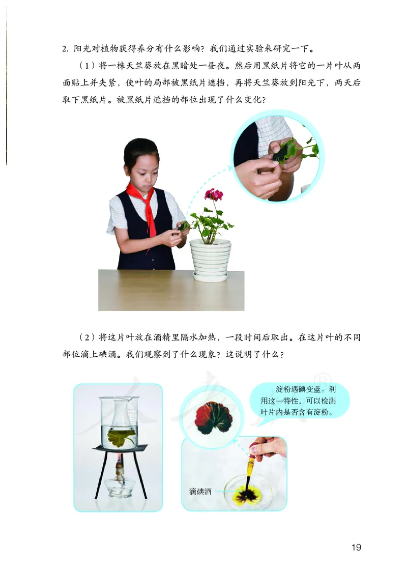 义务教育教科书&middot;科学六年级上册_电子课本_小学电子课本_05科学_人教鄂教版