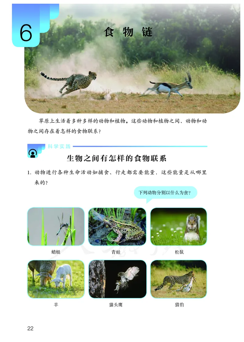 义务教育教科书&middot;科学六年级上册_电子课本_小学电子课本_05科学_人教鄂教版