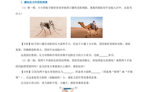 9.1压强（导学案）-学生版_初物_八年级上下册+九年级全一册物理_八年级物理下册_老课标资料_导学案