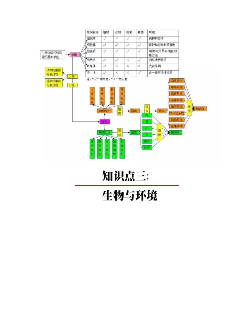 初中全科思维导图全汇总_《初中全科目知识点汇总》_初中语文知识点汇总