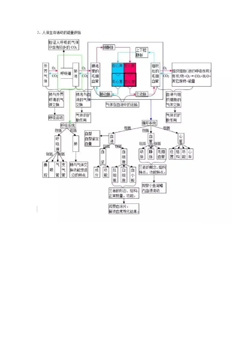 初中全科思维导图全汇总_《初中全科目知识点汇总》_初中语文知识点汇总
