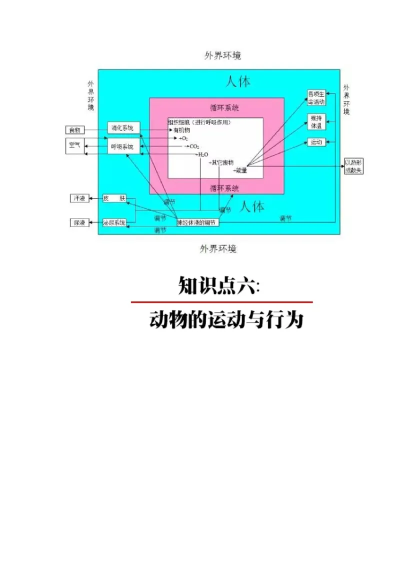 初中全科思维导图全汇总_《初中全科目知识点汇总》_初中语文知识点汇总