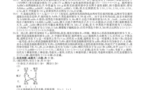 参考答案_2025年03月试卷_0322安徽省蚌埠市固镇县毛钽厂实验中学2024-2025学年高一下学期3月月考