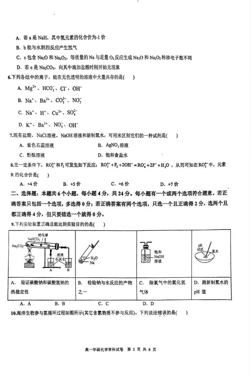 化学_2024年11月试卷_1125海南省先锋联盟2024-2025学年高一上学期11月期中考试_海南省先锋联盟2024-2025学年高一上学期11月期中考试化学试题含答案